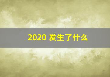 2020 发生了什么